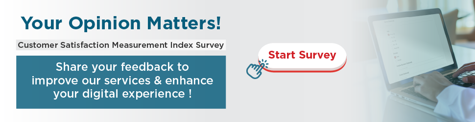 Household Income and Expenditure Survey